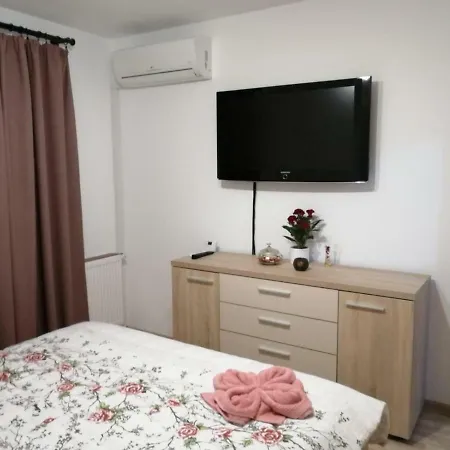 Luxury Mountain View Apartment Brasov