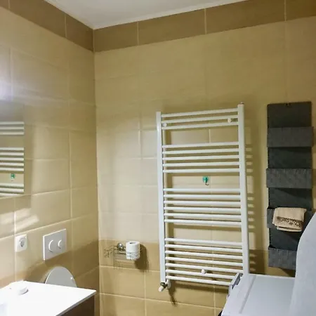 شقة Luxury Mountain View براشوف