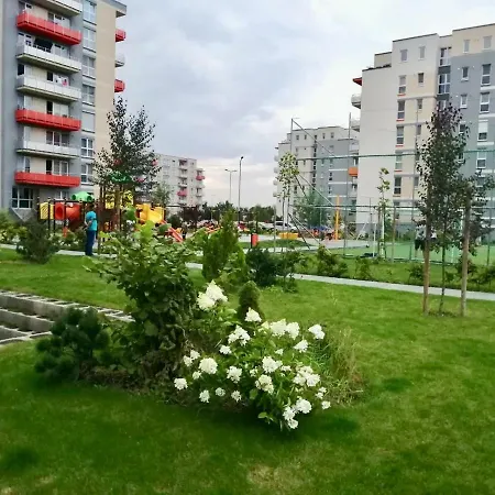 Luxury Mountain View
