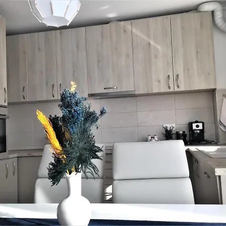 Luxury Mountain View Apartment