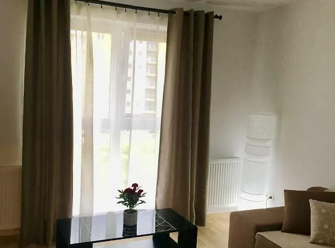 Apartament Luxury Mountain View *